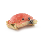 Crabe