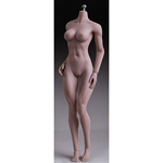 Caucasian Seamless Female Body (Middle Bust)