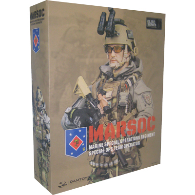 MARSOC Marine Special Operations Regiment Special Ops Team