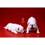 Set chiens British Bulldog (Blanc)