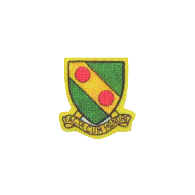 793rd Military Police Battalion Patch (Green)