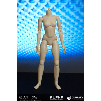 Asian Alpha Female Body (Small bust)