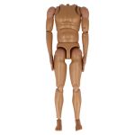 All Era Caucasian Male Body