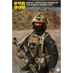 Special Operation Forces of The Russian Federation (SSO)