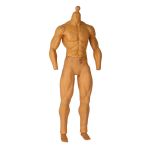 Seamless Caucasian Male Body