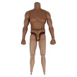 European Male Body with Bust and Arms Seamless