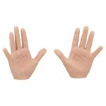 Caucasian male hands