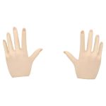 Caucasian female hands