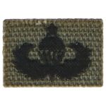 Senior U.S. Parachutist Badge