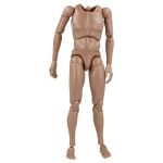 Caucasien male body