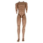Corps homme européen compatible avant-bras seamless