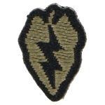 Patch 25th Infantry Division “Tropic Lightning”