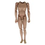 Caucasian Male Body with Seamless Forearms