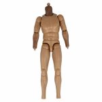 Cuerpo masculino articulado 1/6 con cuello y antebrazos oscuros