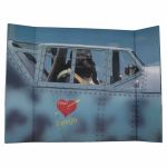 Fondale illustrato per diorama con aereo da caccia tedesco