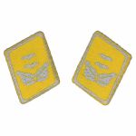 Pattes de col de lieutenant Luftwaffe Oberleutnant personnel navigant