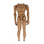 Articulated Caucasian male body