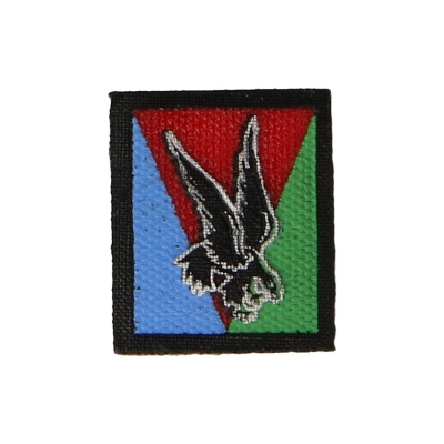 10th Airborne Division Patch (Blue)