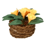 Potted Flowers (Orange)