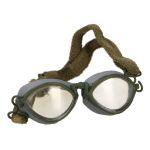 Fluorescent Goggles (Transparent)