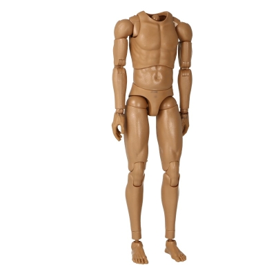 Caucasian Male Body