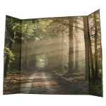 European forest Illustrated background for Diorama