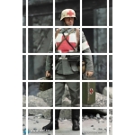 WWII German WH Medic Officer Candidate Unterazt - Gröger