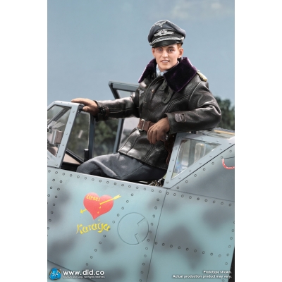 WWII German Luftwaffe Ace Pilot - Erich Hartmann