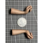 Seamless Caucasian Male Forearms