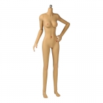 Asian Female Super Flexible Seamless Body (Small Bust)