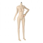 Caucasian Pale Female Super Flexible Seamless Body (Small Bust)
