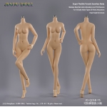 Asian Female Super Flexible Seamless Body (Small Bust)