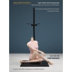 Caucasian Seamless Female Body (Middle Bust)