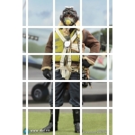 WWII British Pilot Squadron Leader - Tom