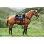 Brown-Red War Horse (Standing)