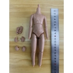 Caucasian Teenager Body