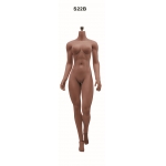 African Brown Female Super Flexible Seamless Body (Middle Bust)