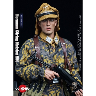WWII Hermann Göring Division - Tunisia 1943
