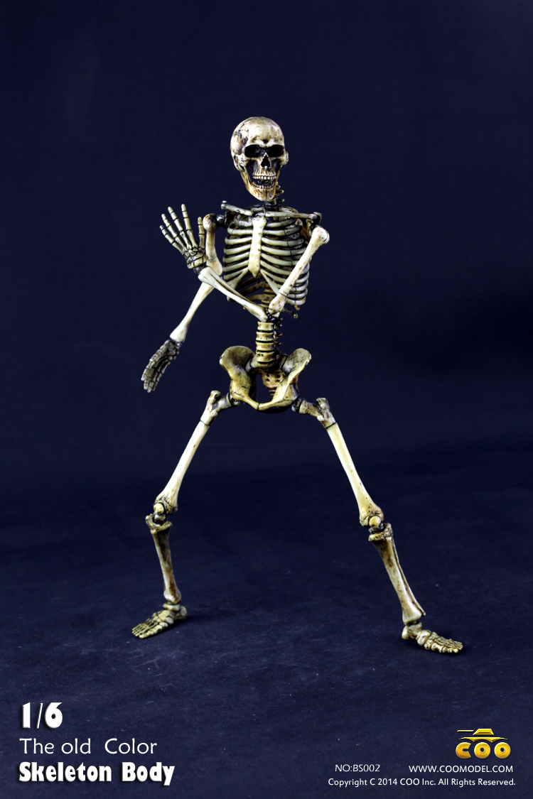 Old Skeleton Body Coo Model - Machinegun