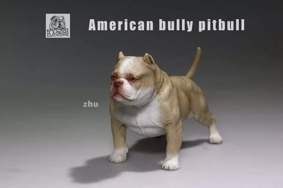Bully Puppies Mr Bean American Bully American Bully Muscle Tone Sales