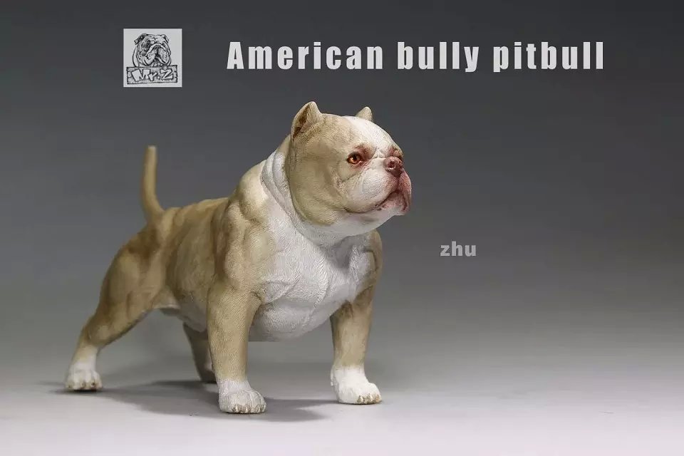 American Bully Pitbull Dog (Beige) Mr Z - Machinegun