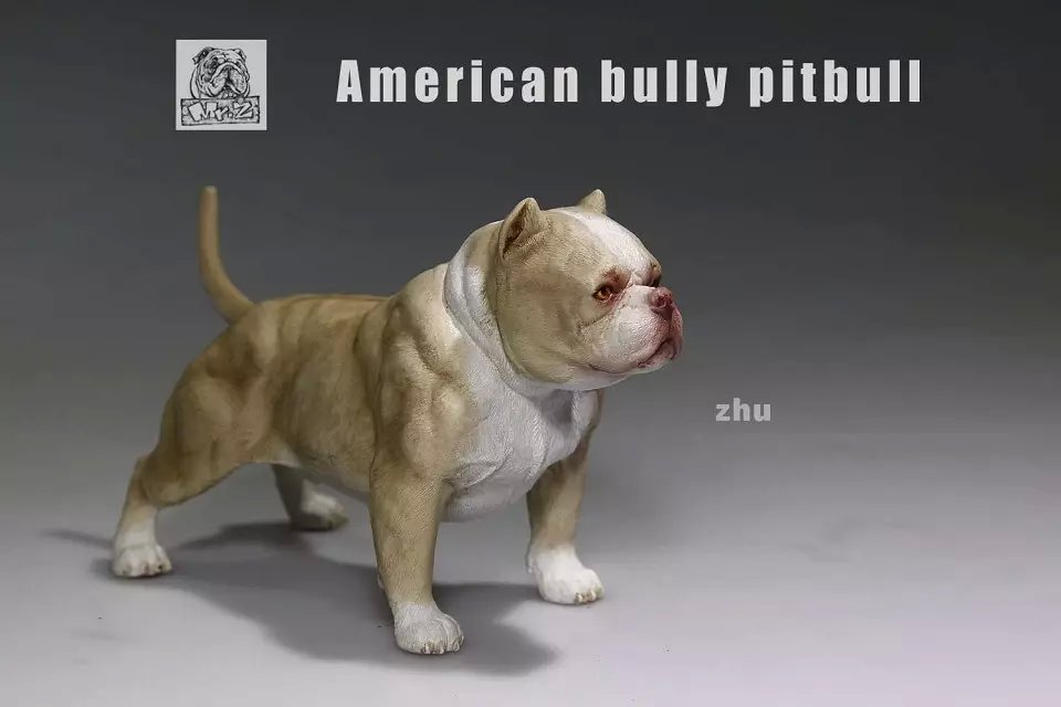American Bully Pitbull Dog (Beige) Mr Z - Machinegun