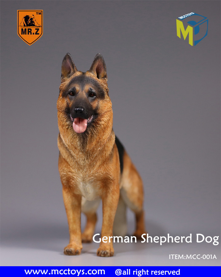 German Shepherd Dog (Brown) Mr Z - Machinegun