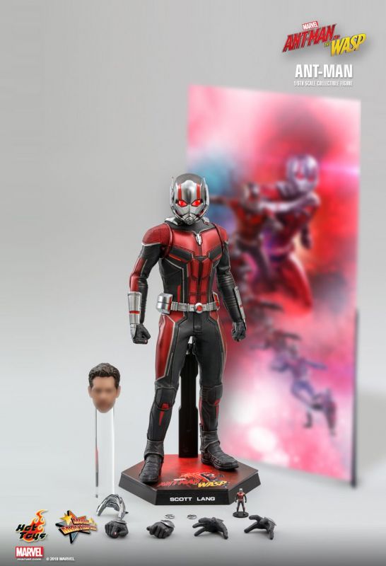 ANT-MAN 1/6スケールコレクティブルフィギュア Hot Toys 1:6 Ant-Man - Movie Masterpiece Series : Amazon.fr