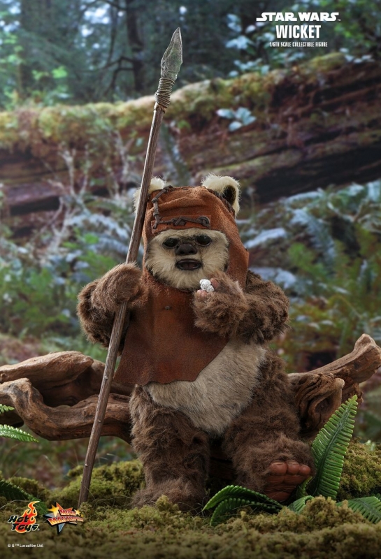 Star Wars Wicket ホットトイズ HOT TOYS STAR WARS RETURN OF THE JEDI WICKET | toyhideout