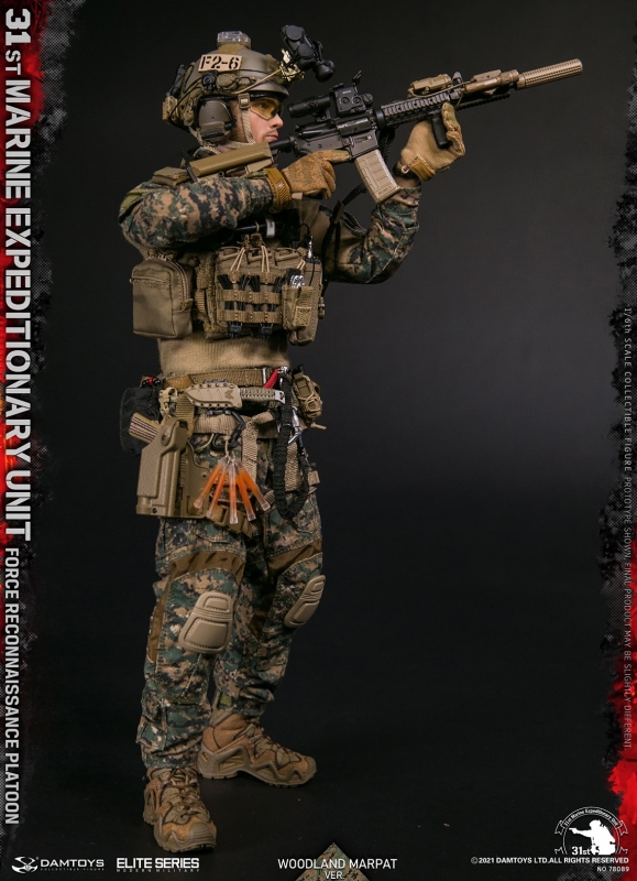 31st Marine Expeditionary Unit - Force Reconnaissance Platoon