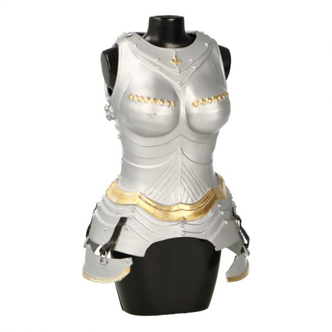 Combinaison médiévale de protection d'armure isolée sur fond blanc avec passe-cheveux.Ancienne